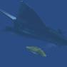 The Flying Sub