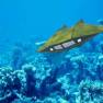 The Flying Sub