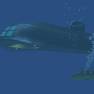 The Flying Sub