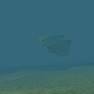 The Flying Sub