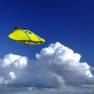 The Flying Sub