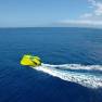 The Flying Sub