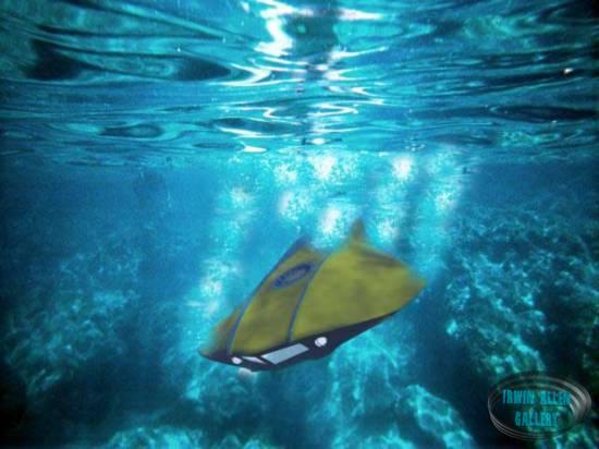 The Flying Sub