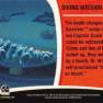 Fantasy Worlds Card Back #14