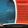 Fantasy Worlds Card Back #16