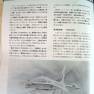 Japanese Seaview Kit