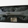 "Iconic Replicas" 24 inch Seaview
