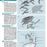 8 Window Seaview Instructions Page 2