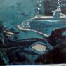 Spanish book Seaview picture