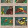 Spanish Sticker Book 1 Page 17