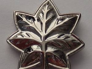Commander Insignia