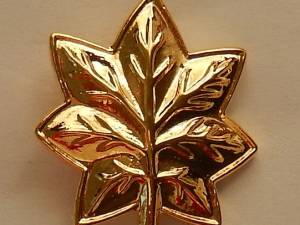 Voyage to the Bottom of the Sea