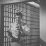 David Hedison