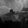 Polidor Sub in The Fear-Makers
