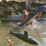 David Hedison Swims with Miniatures