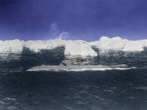 MPTV Vault